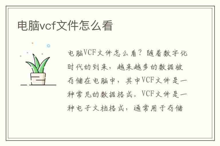 电脑vcf文件怎么看(vcf在电脑上怎么查看)